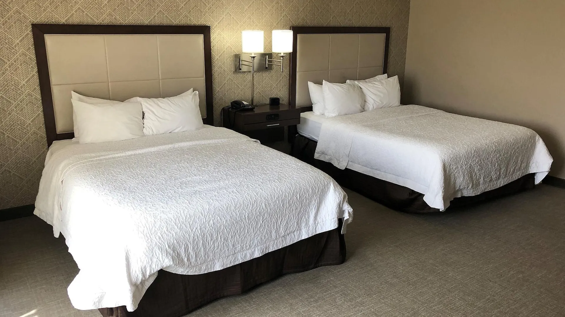 Hampton Inn & Suites By Hilton Tampa Busch Gardens Area 3*,