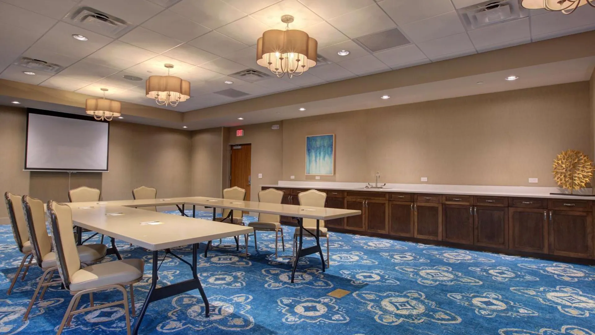 Hampton Inn & Suites By Hilton Tampa Busch Gardens Area